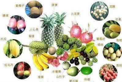 维生素b族片的作用 维生素b族的作用 维生素b族的作用 茶叶维生素c的作用