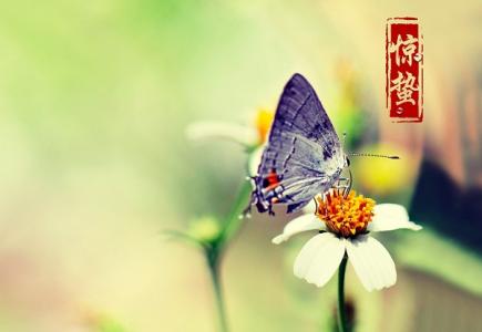 惊蛰是什么时候 今年的惊蛰是什么时候