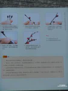 跟我学做纸艺花 跟我学做纸艺花 跟我学中医 | 喘证分虚实，各方对各证