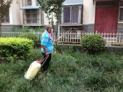生物防治害虫的例子 生物防治