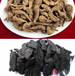 生地熟地的功效与作用 熟地的功效与作用 生地的功效和作用