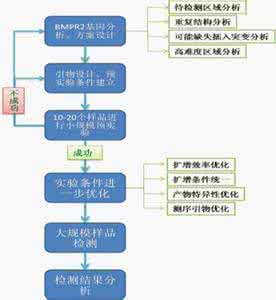 乳腺癌患病程度 同样的基因突变为什么会有不同的患病程度