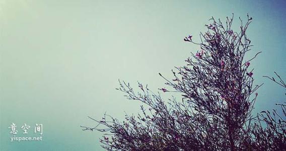 我的青春注定不平凡 人生注定要平凡吗