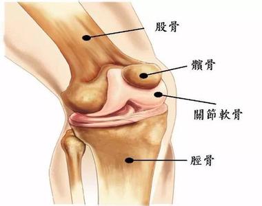 骶髂关节炎ct图像表现 骨和关节的图像与图解（上）（值得收藏~）