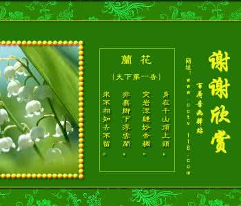 中国歌曲音画欣赏 《Dem Lao Xao》越南歌曲【FLASH 音画】
