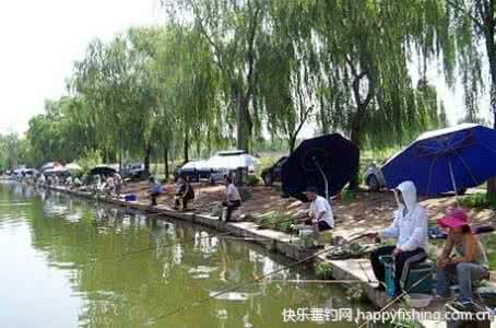 冬天怎样才能钓鲫鱼 夏季钓鱼的方法与技巧