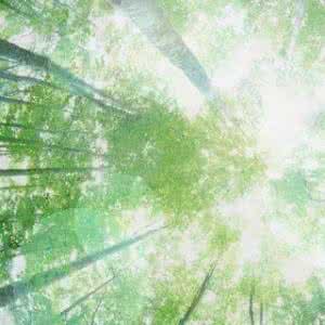 夏天来了周记150字 夏天来了150字