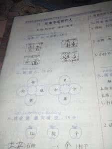 排卵前吃药影响卵子吗 排卵前吃药影响卵子吗 吃拉肚子药影响排卵吗？