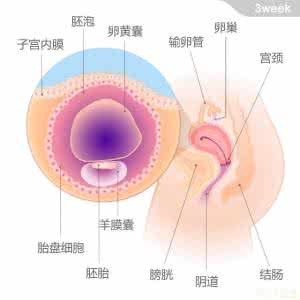 怀孕期体重 怀孕期体重变化 怀孕期心理上的变化