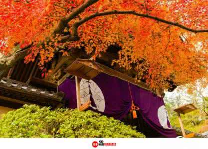 早安心语 早安心语：秋天该很好，你若尚在场