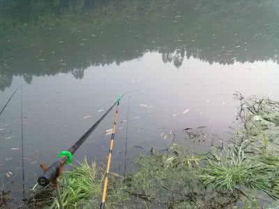 水库野钓用多长的手竿 野钓夜钓全攻略视频; 水库海竿手竿垂钓选钓位和如何用饵拌饵料技巧....