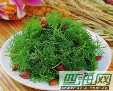 茴香苗饺子馅的做法 【时令果蔬】茴香苗的做法大全