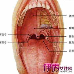 口腔上颚溃疡是上火吗 上颚上火什么原因？