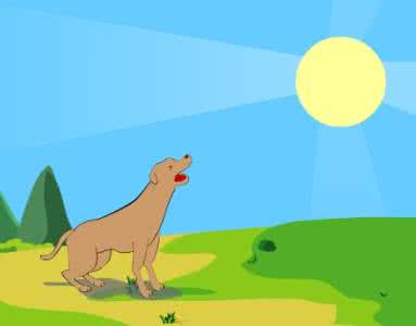蜀犬吠日是什么意思 蜀犬吠日 蜀犬吠日是什么意思