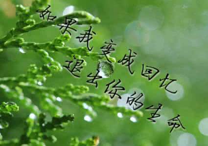 生命中总有些人离开 生命离开单曲在