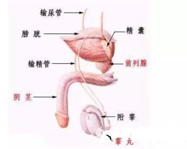 血色白带是怎么回事 精液带血色没有不适是怎么回事