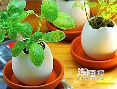 铅笔短了废物利用图解 这废物利用,无敌了~~~~~~~