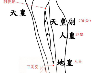 肝肾不足 筋骨 肾精足不足？敲敲迎面骨！