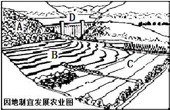 因地制宜发展农业 因地制宜发展农业 下列做法不符合因地制宜发展农业生产的是（）A．在珠江三角洲地势低洼的地方实行基塘生产B．在内蒙古草原