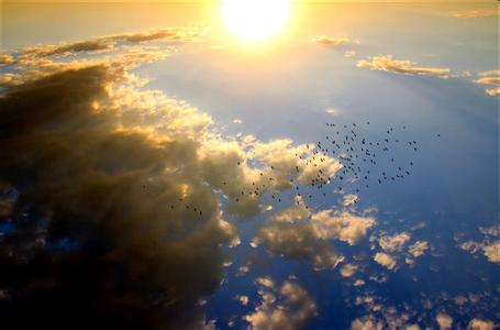 佛法的生命科学观 【学佛法看人生】生命选择篇