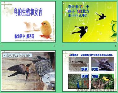 两栖动物的生殖和发育 两栖动物的生殖和发育 两栖动物和鸟类生殖和发育过程的共同特点是()A.都是卵生B.都是体外受精C.胚胎发育都在体内完成D.
