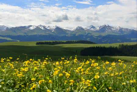 伊犁塞外江南 塞外江南—伊犁