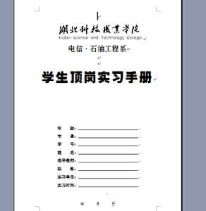 顶岗实习半年的工作总结