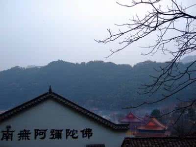 莲花佛国 雨中的莲花佛国