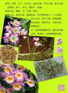 常用中草药300种图谱 常用中草药300种图谱 常用中草药300种图谱之一(1-150)