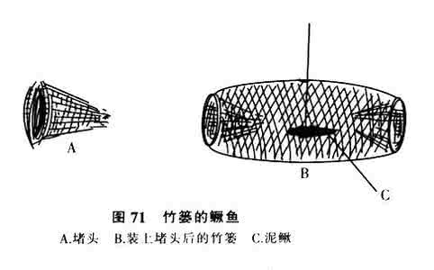 安徽臭鳜鱼腌制方法 用竹篓诱鳜鱼、捕获鳜鱼的方法