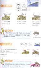 毛衣钩针编织图案图解 钩针块状图案----块状图案在织衣上的编排