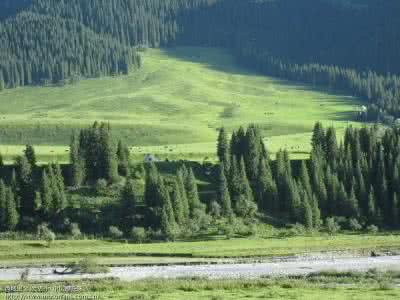 大学挖好坑,十年牛哼哼