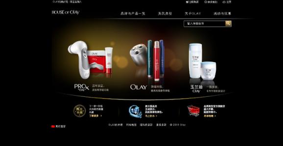 宝洁公司产品 宝洁公司去屑产品被质疑