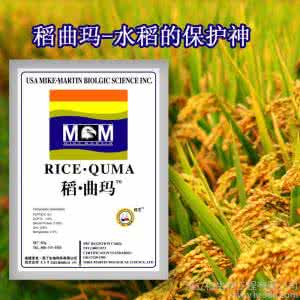 植物生长调节剂 香港解读豆芽中的植物生长调节剂