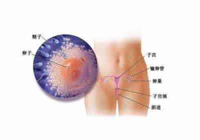 着床出血是什么原因 导致受精卵着床出血的原因