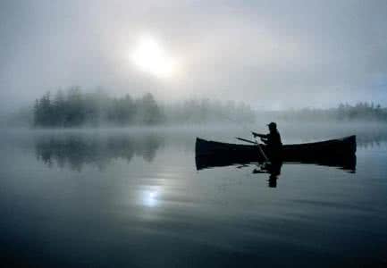 淡泊是一种智慧 有一种美丽叫淡泊！