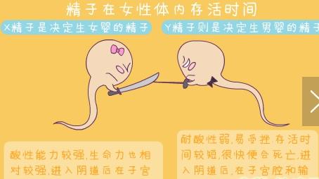 男人精子在体内存活多久 精子在女性体内存活时间