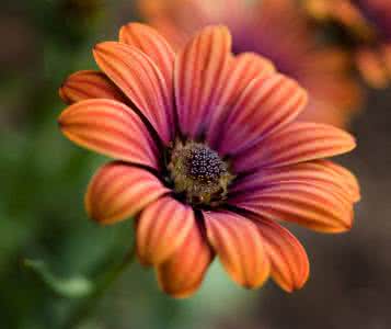 微言大义 微言碎语973