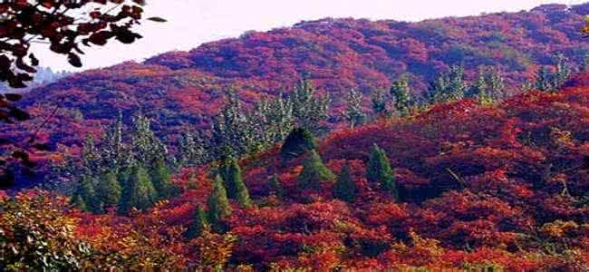 北京香山旅游 北京香山旅游指南