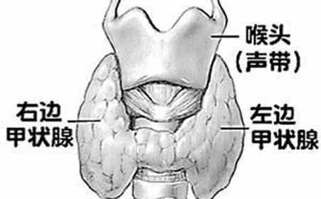 甲状腺功能减退症状 甲状腺功能减退症 它的临床表现有哪些