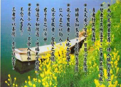 关于羊排的美文 羊年感怀【感悟美文】