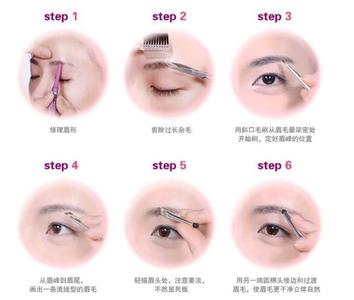 抓画眉鸟的下套的诀窍 画眉诀窍有哪些