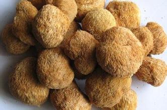 猴头菇能治胃病吗 引用 【转载】猴头菇治好了我爸多年老胃病