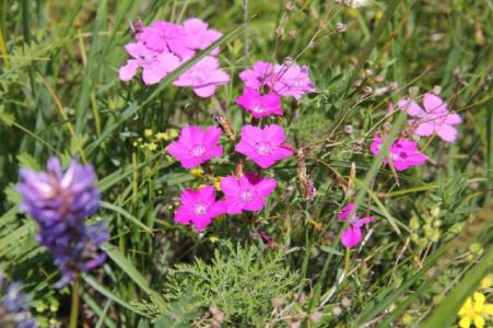 幸福人生2 三重烦恼 ╱◥◣烦恼与幸福╱◥◣