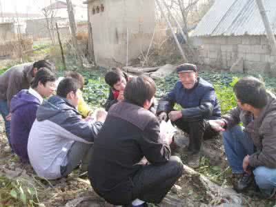 作物栽培学实习报告