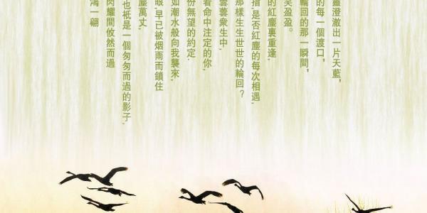 重逢美文 无论重逢，无论错过【情感美文】