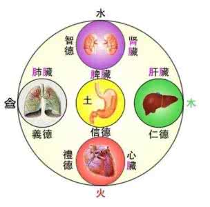 如何灭掉五脏之火 五脏有火的症状及治疗