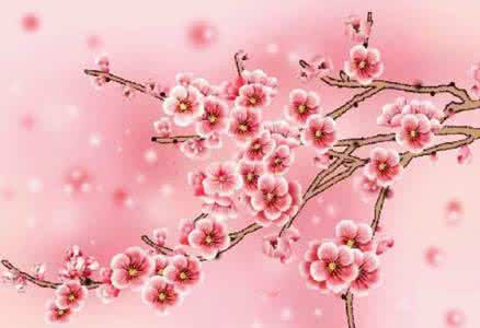 面朝大海春暖花开 春暖花开，爱盛放