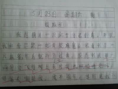 回顾历史展望未来作文 回顾2015展望2016作文400字