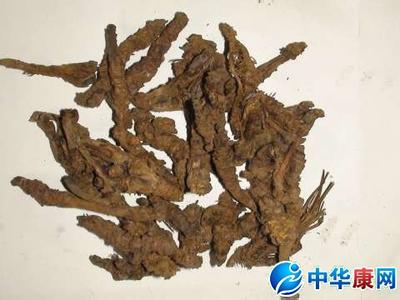 干姜黄连汤 名医秘方:慢性肾功能衰竭根治半夏干姜黄连汤